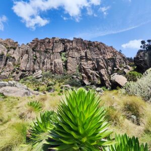 Dragons Teeth & Satima Hike - Image 4